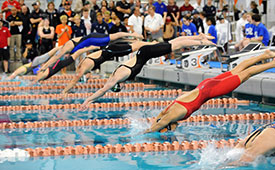 swim-dive-girls-thumb